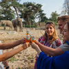Bieraanbod tijdens vierde editie 'Brew@theZoo' in Beekse Bergen groter dan ooit