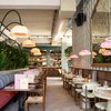 Vegitalian past koers aan: Amsterdam sluit, Rotterdam krijgt nieuw leven als Bar Picar
