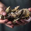 Relais & Châteaux roept chefs op om bedreigde soorten van menu’s te halen