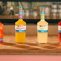 Koninklijke De Kuyper lanceert het Batched 0.0% Cocktailassortiment