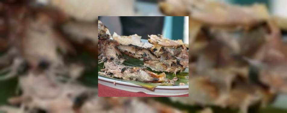 Bejaarde vindt eten vies en slaat erop los