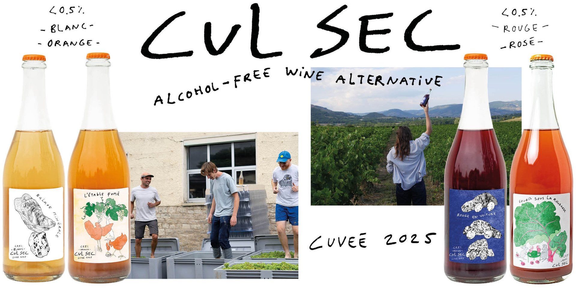 Nederland als perfect alcoholvrij wijnland? Cul Sec lanceert cuvée 2025
