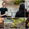 Amsterdams Restaurant Roef opent eigen moestuin