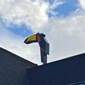 Raad van State geeft Van der Valk groen licht voor bouw hoteltoren van 45 meter