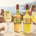 De Kuyper lanceert Batched Spritz-cocktails voor de horeca