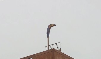 Van der Valk-hotel schrijft brandbrief na forse verhoging toeristenbelasting