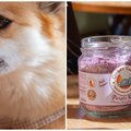 Hondenwandelclub: Beagles & Beans gaat een rondje met de hond