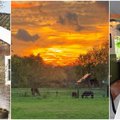 Hoteljournalist Jorine de Bruin organiseert 'B&B & Vakantiehuis Live'
