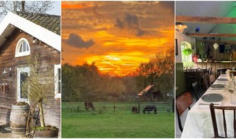 Hoteljournalist Jorine de Bruin organiseert 'B&B & Vakantiehuis Live'