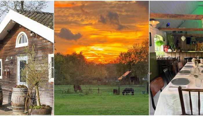 Hoteljournalist Jorine de Bruin organiseert 'B&B & Vakantiehuis Live'