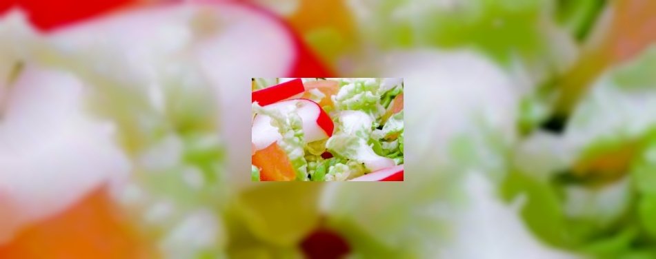 Eerste vegetarische vestiging Subway