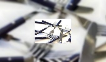 Vlaamse goededoelhamburger kost 299 euro