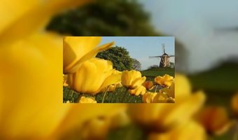 1,3 miljoen Nederlanders op herfstvakantie