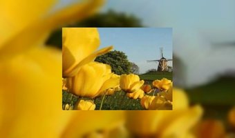 650.000 vakanties in eigen land