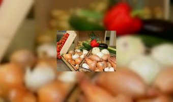 Lekkerste Lunchroombroodje online