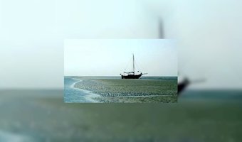 Acht restaurants ontvangen Waddengoud