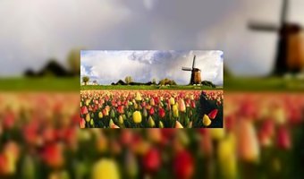 Hotels in trek tijdens voorjaarsvakantie