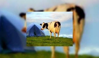 Meer agrarische bed & breakfast-ondernemers