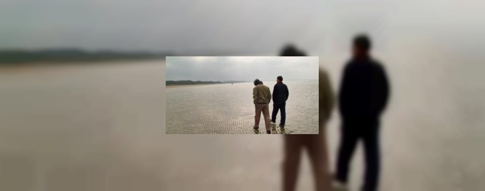 Meivakantie wordt in Nederland gevierd