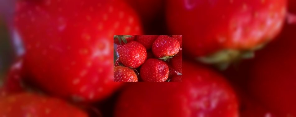De Nederlandse aardbei is er weer