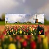 Evenveel voorjaarsvakanties als in 2010