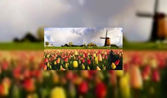 Evenveel voorjaarsvakanties als in 2010