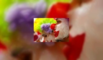 Hotels spinnen garen bij carnaval