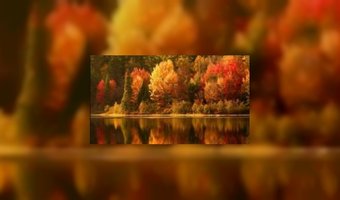 Europeaan zoekt zon op in herfst
