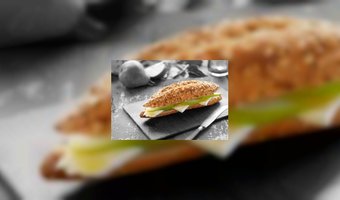 Panesco wordt PANESCOFOOD.COM