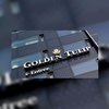 Voormalig COO aast op Golden Tulip