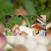 Primeur voor Chef in a Box