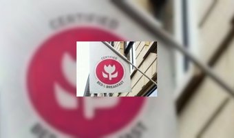 Vijf tulpen voor b&b Bij Margo