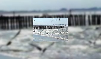 Nederlandse kust onverminderd populair