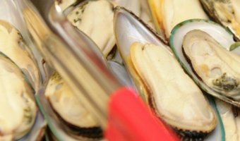 Video: superverse mosselen bij de Makro