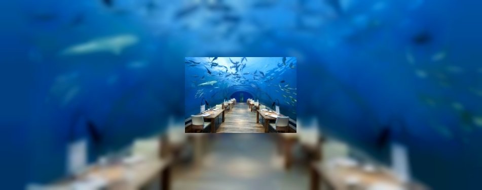 Dineren in Snorkelland (video)