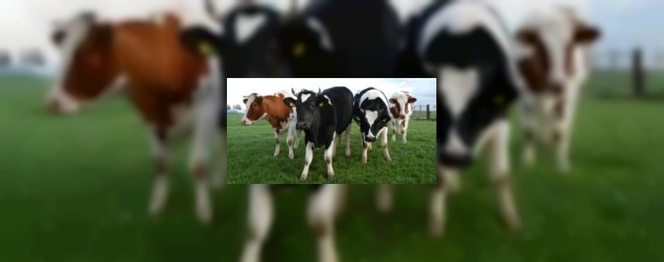 Gast wil biologisch en duurzaam