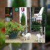 Meer dan helft hotels weert huisdieren