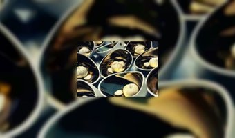 Olivier introduceert nieuw organisch servies