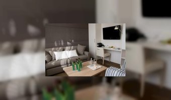 Grote suite voor gezin of zakendelegatie