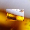 Onderzoek: horecazaken zijn brouwerij trouw