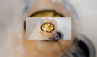 CaliforniÃ« doet foie gras in de ban