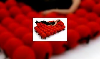 12 bizarre bedden