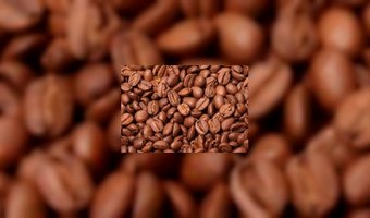 SAB Catering levert eigen koffiebonen 