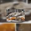 Video: waanzinnig mooi gedecoreerde koekjes